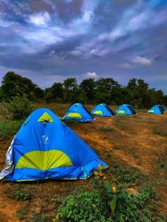 Jungle Camping