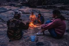 Jungle Meals
